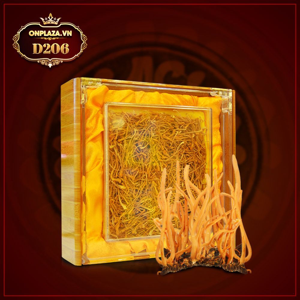 Đông trùng hạ thảo khô Việt Nam chất lượng cao hộp 250gr D206