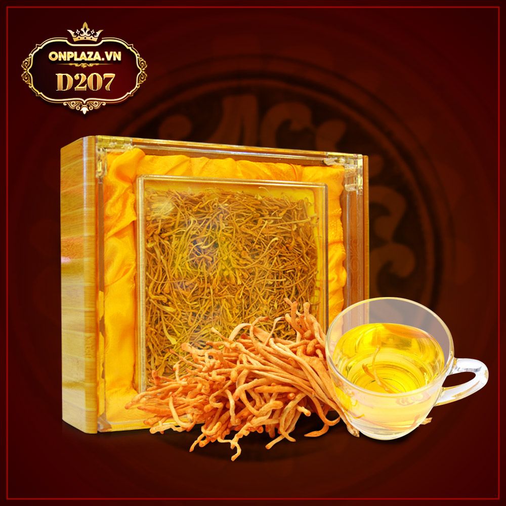 Nấm đông trùng hạ thảo khô cao cấp sản xuất tại Việt Nam hộp 500gr D207