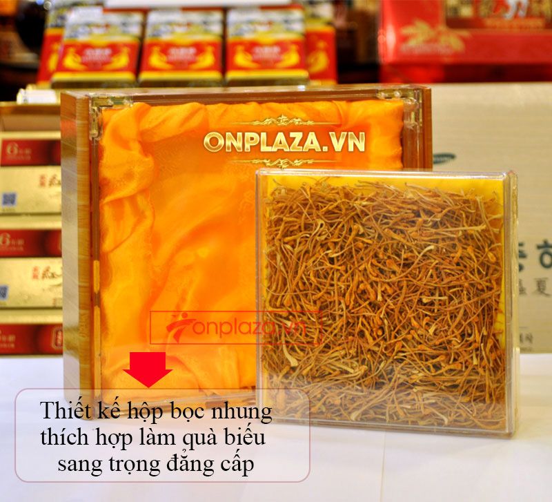 Nấm đông trùng hạ thảo khô cao cấp sản xuất tại Việt Nam hộp 500gr D207 2