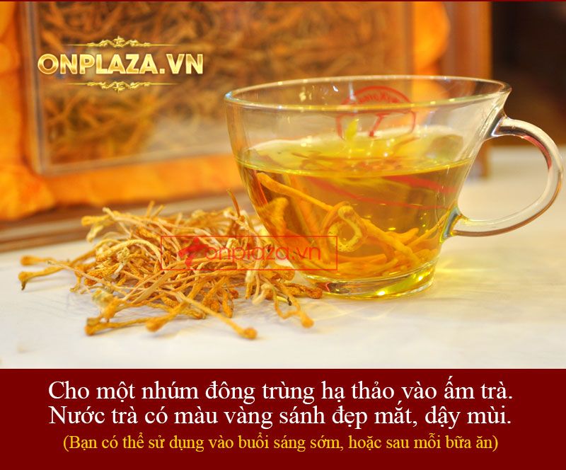 Nấm đông trùng hạ thảo khô cao cấp sản xuất tại Việt Nam hộp 500gr D207 4