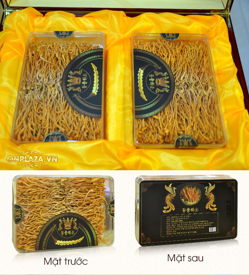 Nấm đông trùng hạ thảo Hàn Quốc cao cấp 180g mẫu mới nhất D227 4
