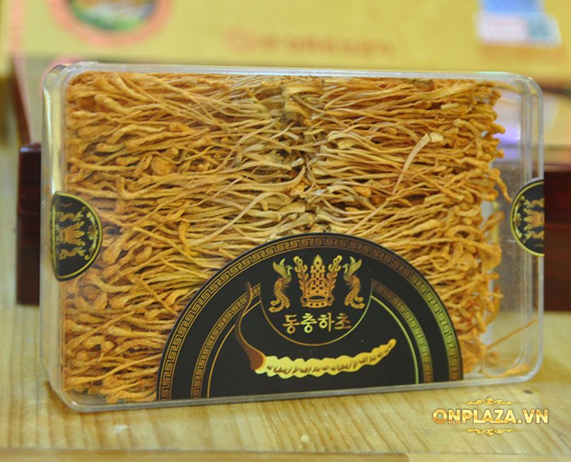 Nấm đông trùng hạ thảo Hàn Quốc cao cấp 180g mẫu mới nhất D227 