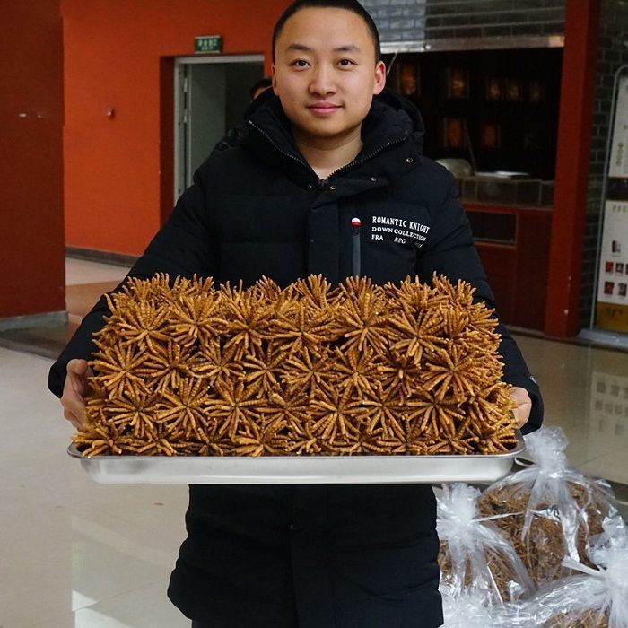 Đông trùng hạ thảo Tây Tạng nguyên con cao cấp hộp 1gr 2