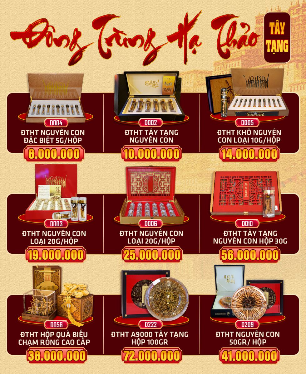 Đông trùng hạ thảo Tây Tạng