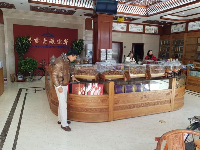 TGD Đào văn quang đích thân sang Tây tạng để lựa chọn đtht