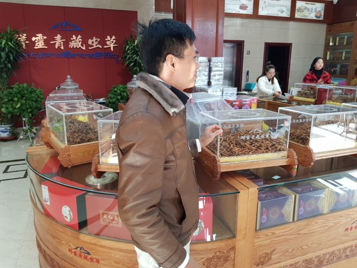 TGD Đào văn quang đích thân sang Tây tạng để lựa chọn đtht 2