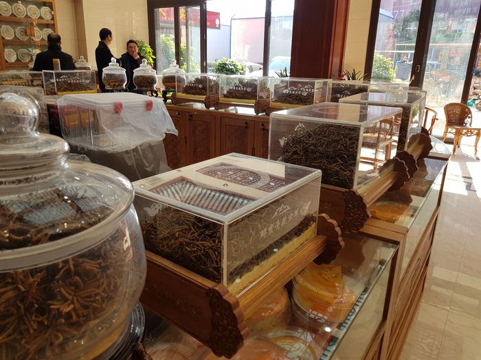 TGD Đào văn quang đích thân sang Tây tạng để lựa chọn đtht 3