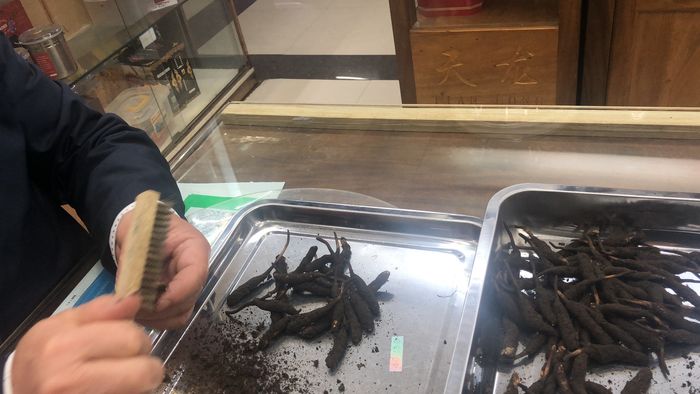 TGD Đào văn quang đích thân sang Tây tạng để lựa chọn đtht 9