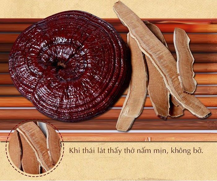 Nấm linh chi đỏ thượng hạng nhập khẩu Hàn Quốc L048 8