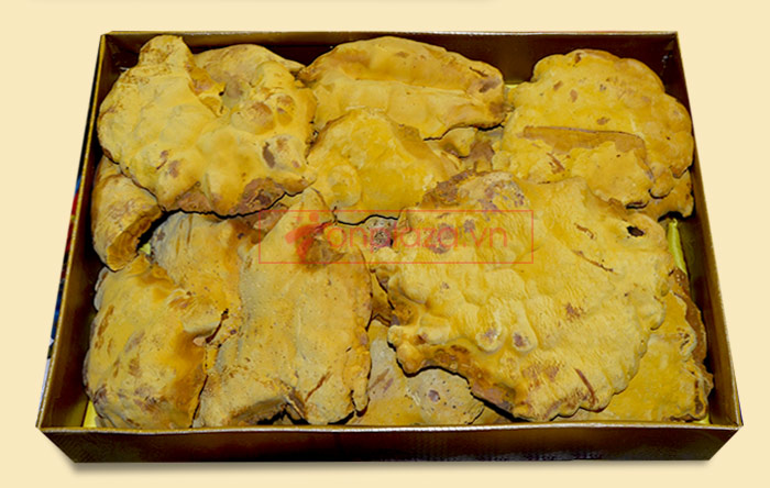 Nấm linh chi thượng hoàng Hàn Quốc L022 a5