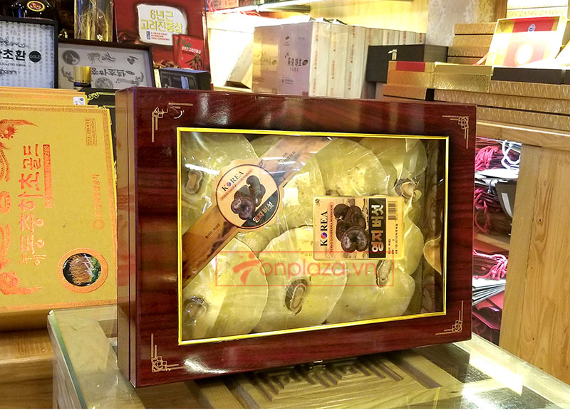 Nấm linh chi vàng thượng hạng Hàn Quốc hộp quà biếu L027 a1