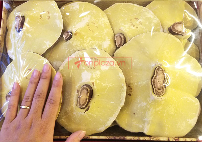 Nấm linh chi vàng thượng hạng Hàn Quốc hộp quà biếu L027 a3