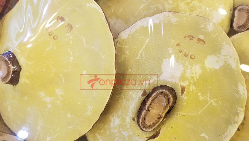 Nấm linh chi vàng thượng hạng Hàn Quốc hộp quà biếu L027 a4