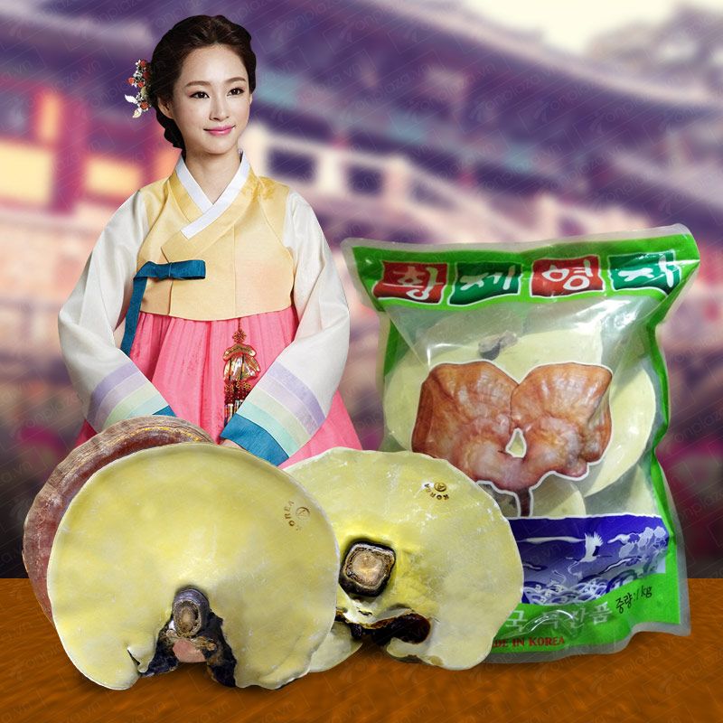 Nấm linh chi vàng thượng hạng đặc biệt dạng túi L038 1
