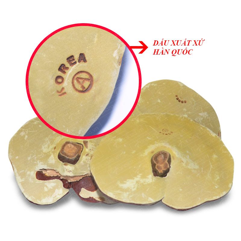 Nấm linh chi vàng thượng hạng đặc biệt dạng túi L038 9