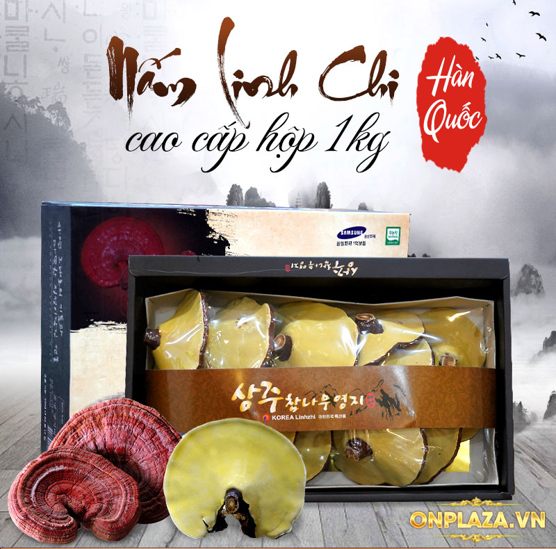 Nấm linh chi Hàn Quốc loại đặc biệt đóng hộp 1kg L052 1