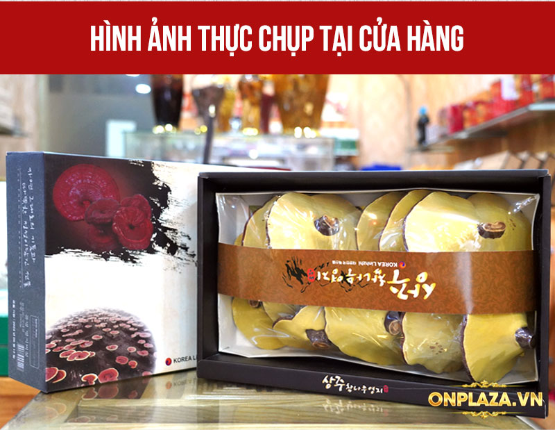 Nấm linh chi Hàn Quốc loại đặc biệt đóng hộp 1kg L052 3