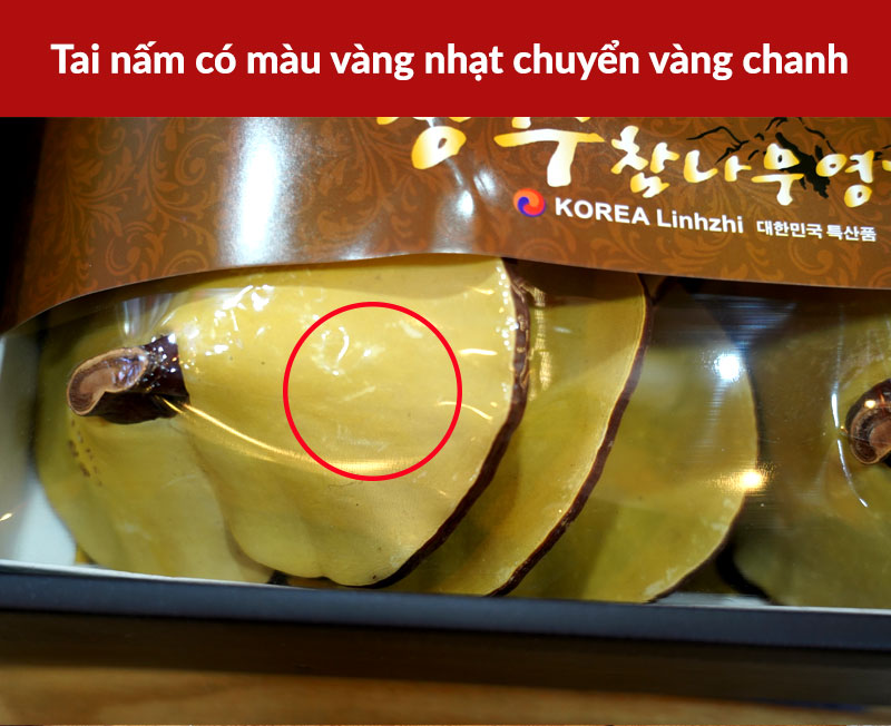 Nấm linh chi Hàn Quốc loại đặc biệt đóng hộp 1kg L052 6