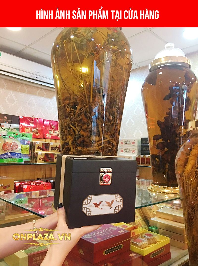 Cao Hoàng Đế đặc biệt loại 500g/hộp màu xanh ngọc NS037 6