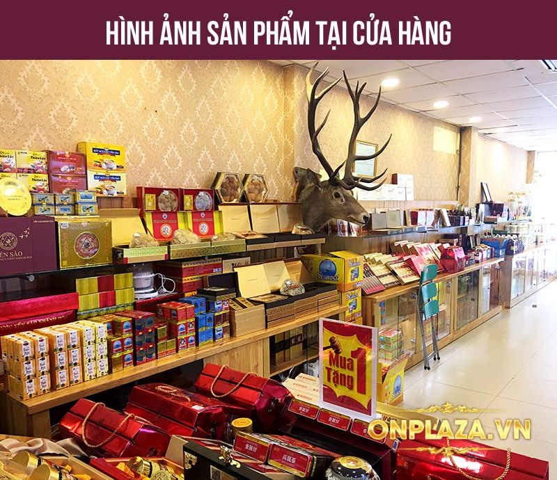Hồng sâm thái lát tẩm mật ong 6 năm tuổi cao cấp Bio Apgold Hàn Quốc NS030 12