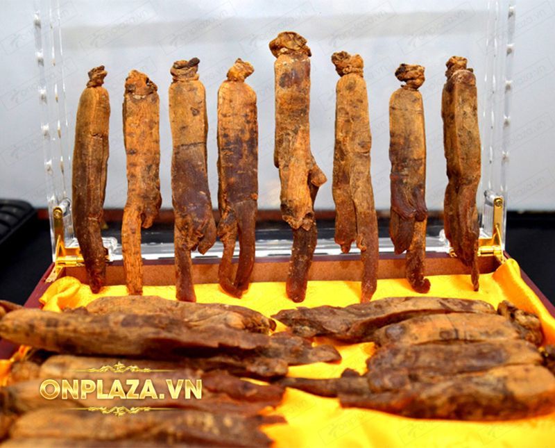 Hộp sâm Cao Ly cao cấp 6 năm tuổi 600g (loại lớn) NS322 2