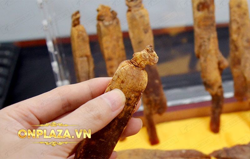 Hộp sâm Cao Ly cao cấp 6 năm tuổi 600g (loại lớn) NS322 3