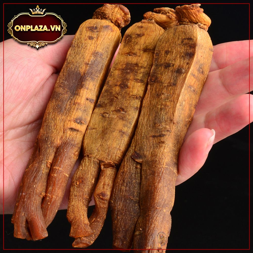 Hồng sâm không đường cao cấp 6 năm tuổi 1