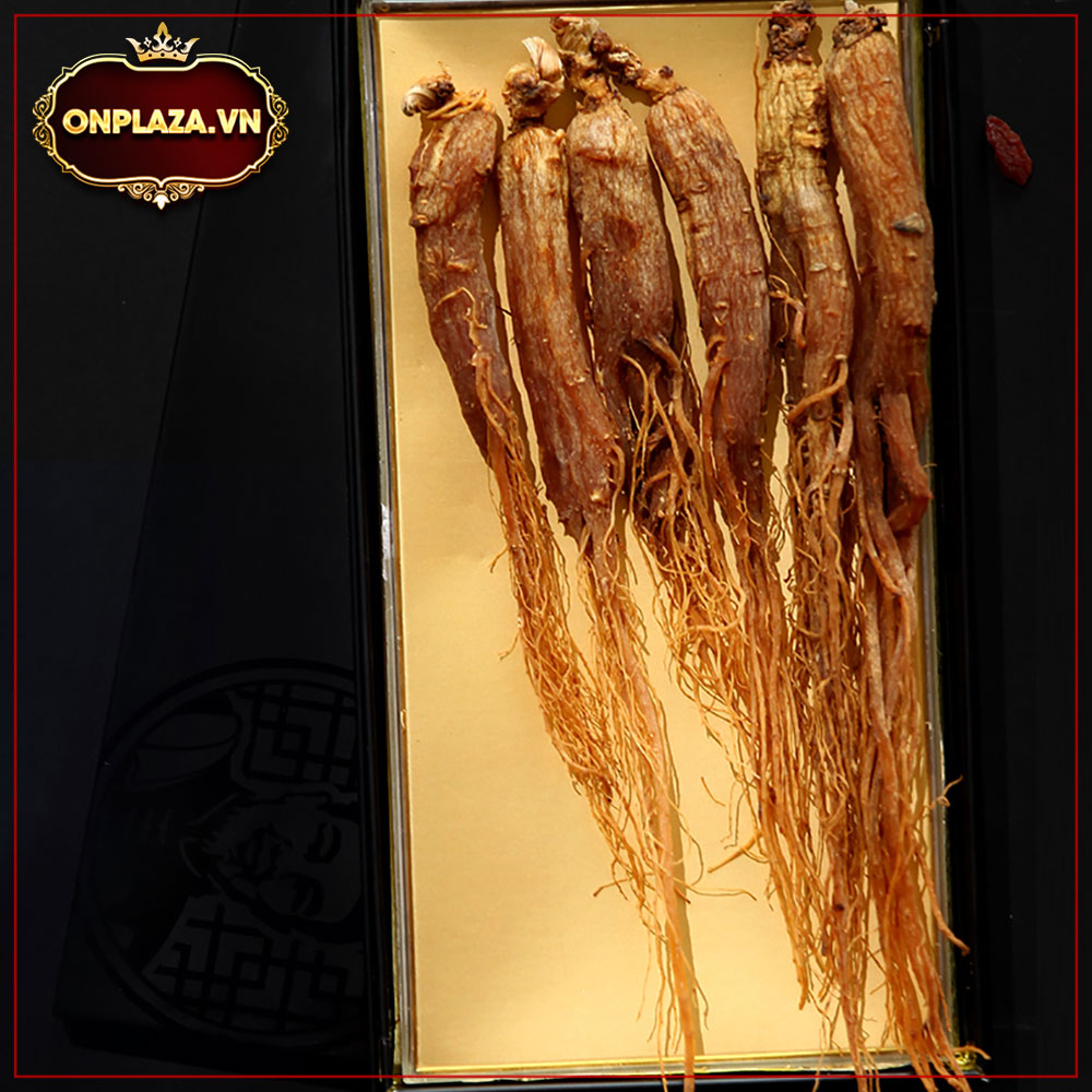 Hồng sâm nguyên củ chất lượng cao 1