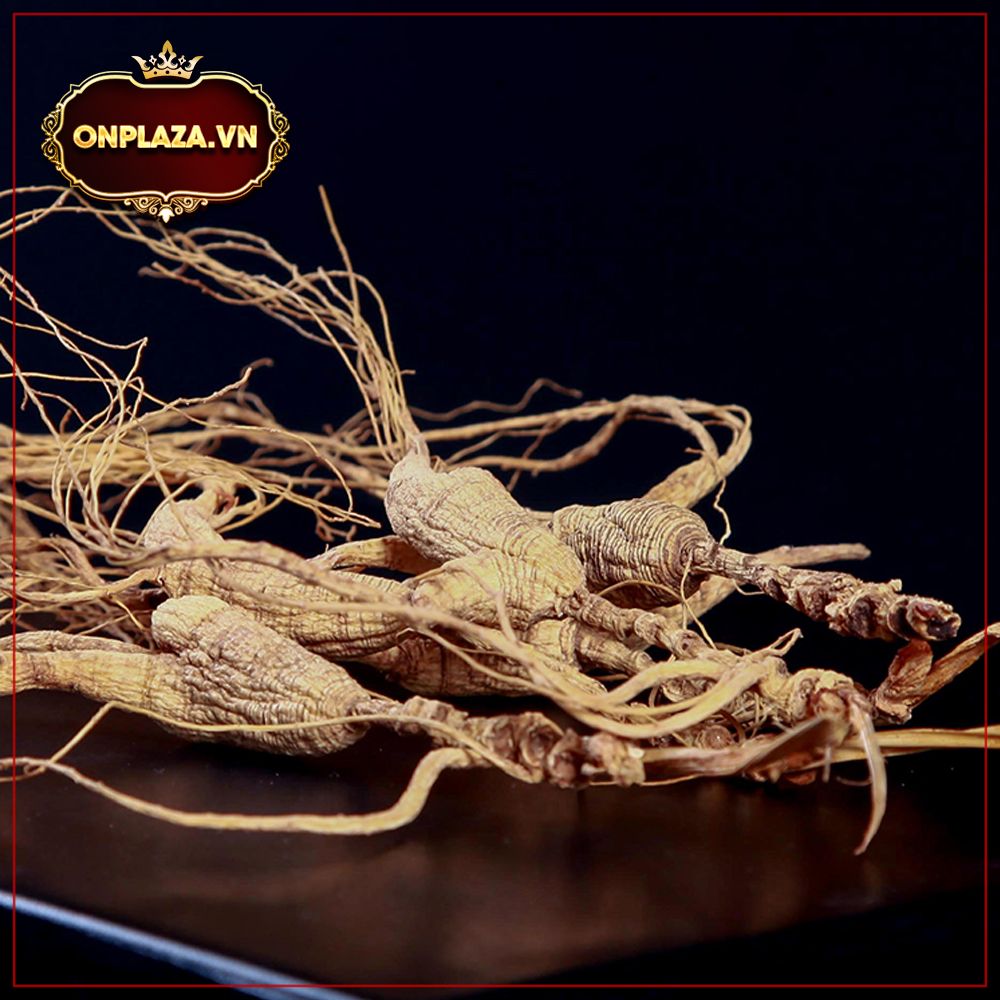 Nhân sâm khô nguyên củ hoang dã núi Trường Bạch 1 