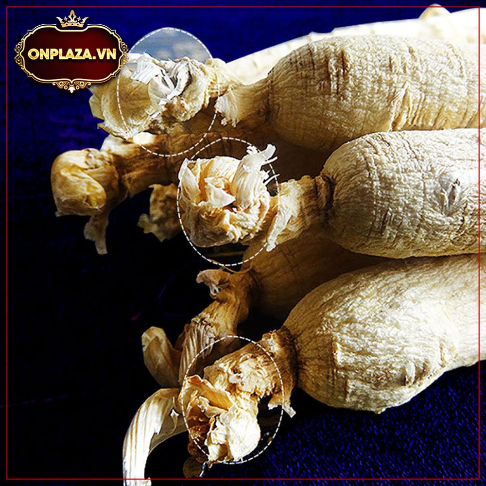 Nhân sâm trắng núi Trường bạch 8 năm tuổi 