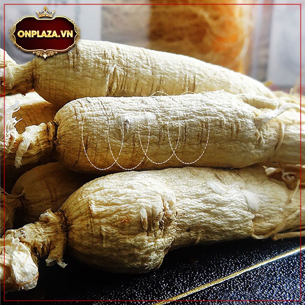 Nhân sâm trắng núi Trường bạch 8 năm tuổi  1