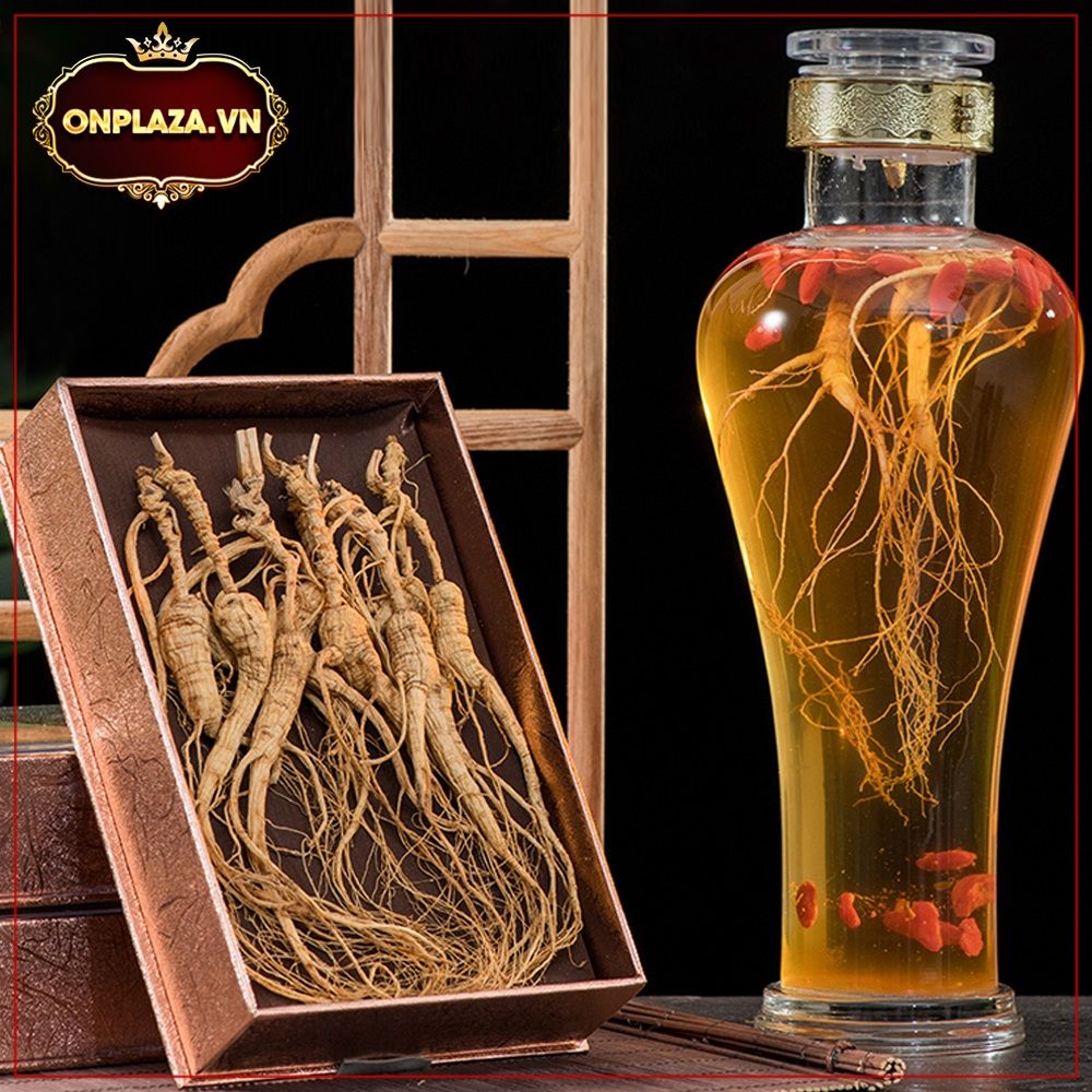 Sâm núi nguyên củ Trường Bạch 20 tuổi 