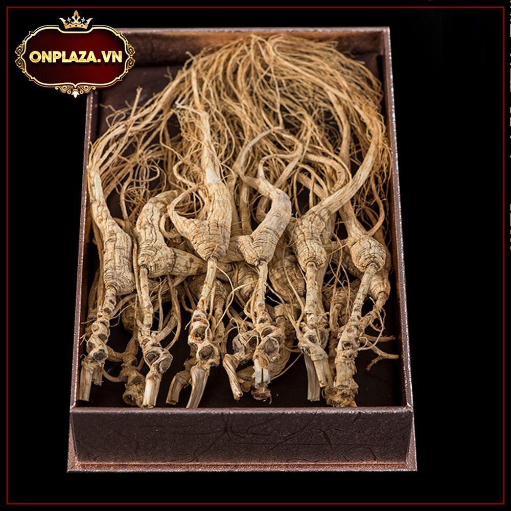 Sâm núi nguyên củ Trường Bạch 20 tuổi đã được sấy khô
