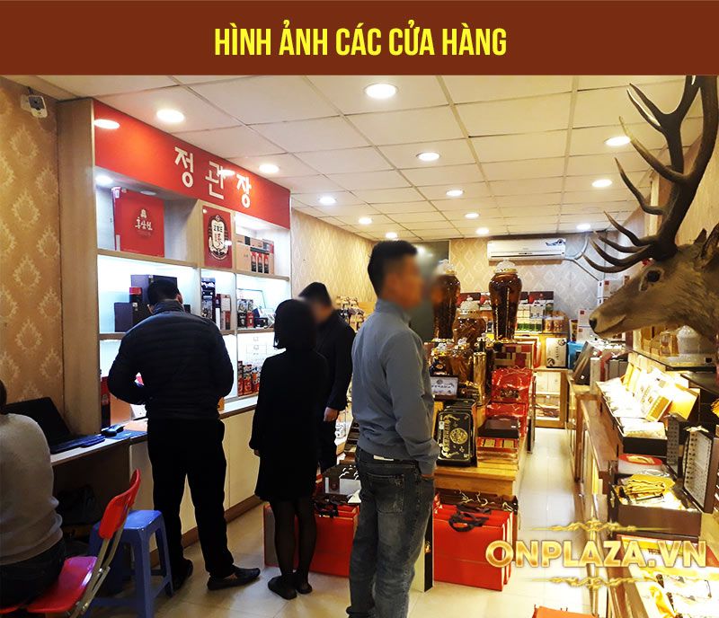 Hồng sâm tẩm mật ong Daedong Hàn Quốc loại 10 củ NS129 3