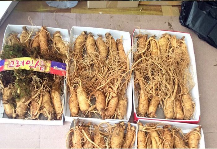 Nhân Sâm Tươi Hàn Quốc Loại 10 Củ/Kg NS007 4