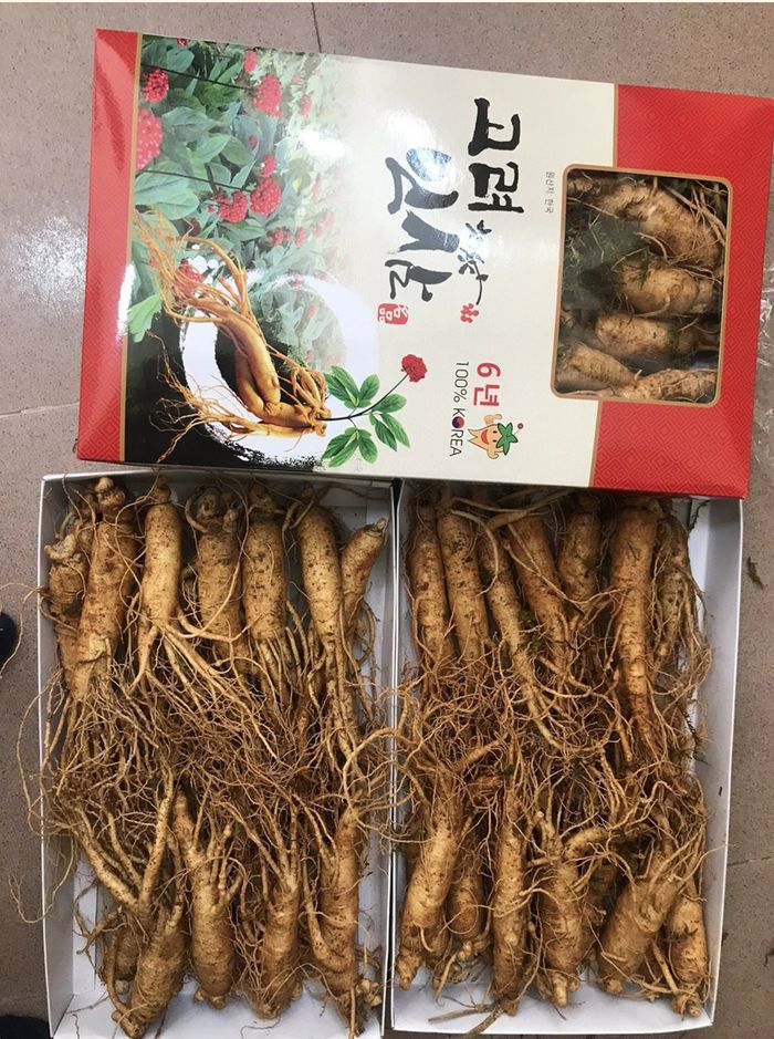 Nhân sâm tươi Hàn Quốc6 năm tuổi loại 12 củ/kg NS008 4