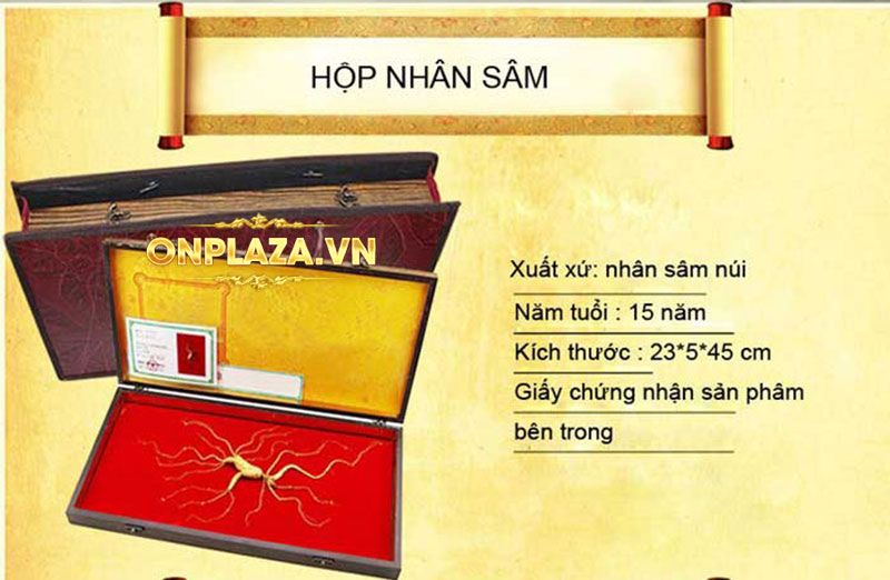 Hộp quà tặng sâm núi ngàn năm tuổi thượng hạng NS216 1