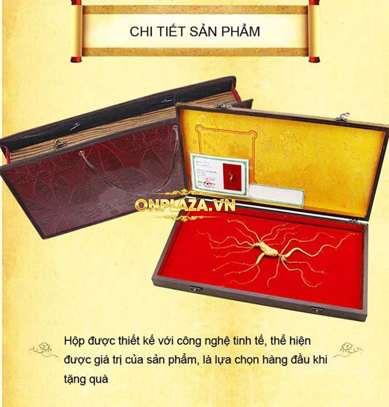 Hộp quà tặng sâm núi ngàn năm tuổi thượng hạng NS216 2