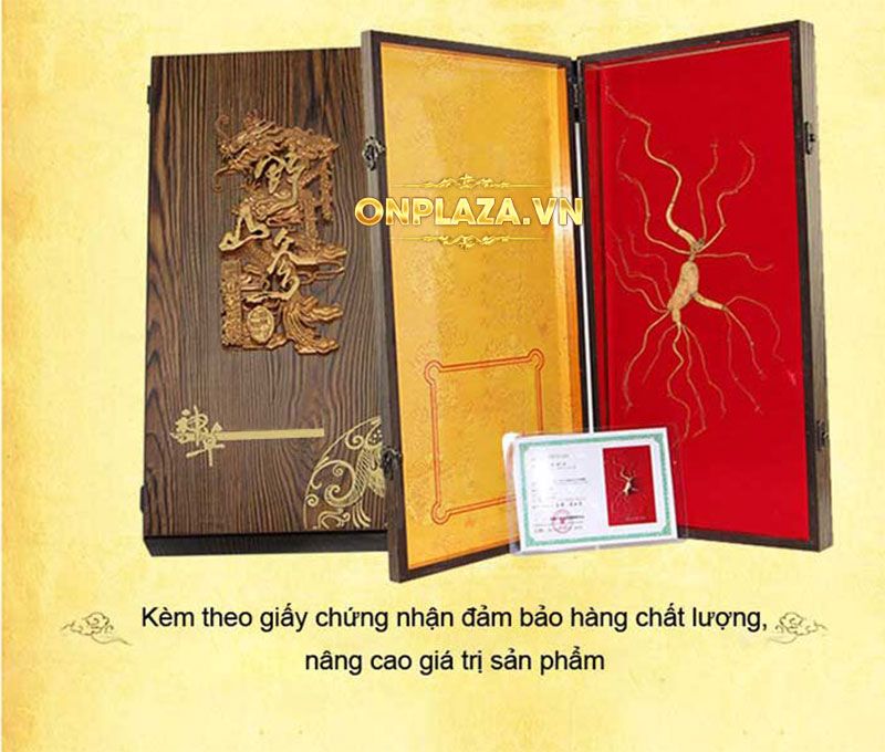 Hộp quà tặng sâm núi ngàn năm tuổi thượng hạng NS216 3