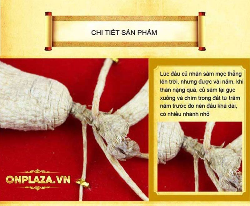 Hộp quà tặng sâm núi ngàn năm tuổi thượng hạng NS216 6