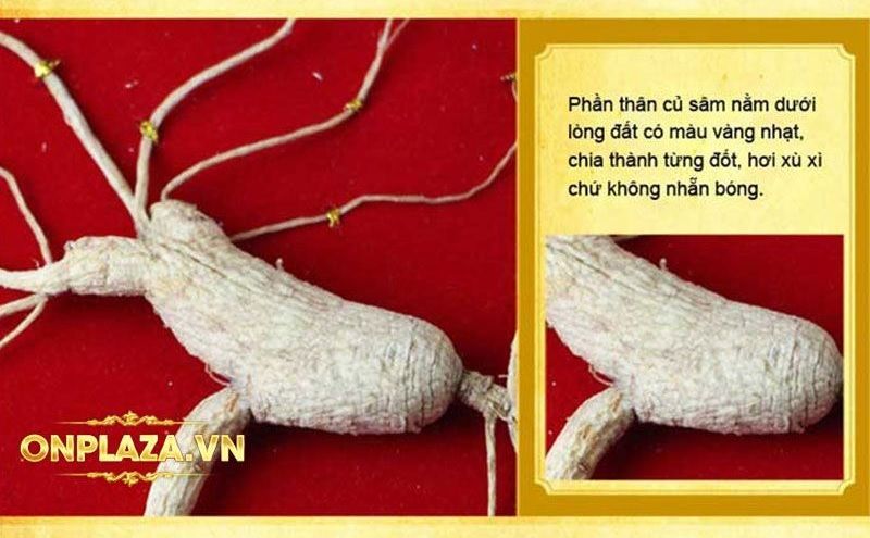 Hộp quà tặng sâm núi ngàn năm tuổi thượng hạng NS216 7