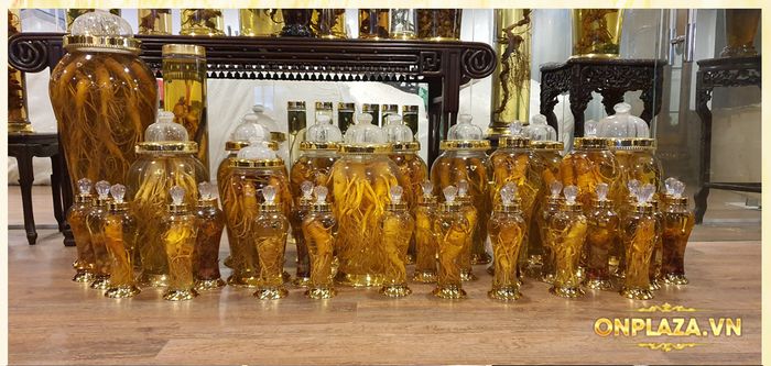 bộ sưu tập bình Nhân sâm Hàn Quốc của Onplaza 1