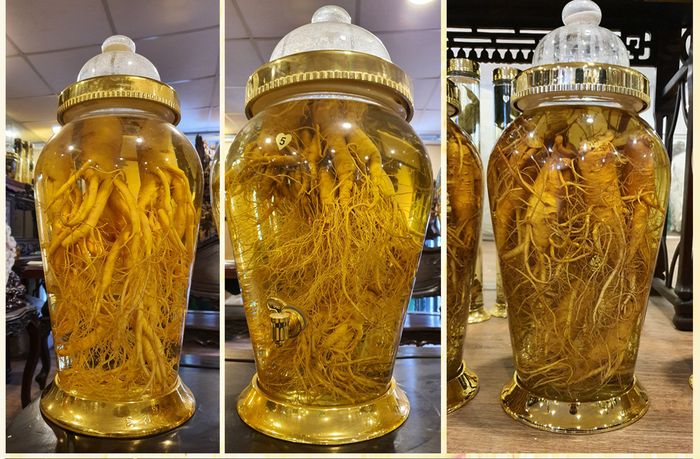 bộ sưu tập bình Nhân sâm Hàn Quốc của Onplaza 2