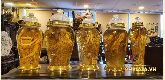 bộ sưu tập bình Nhân sâm Hàn Quốc của Onplaza 3