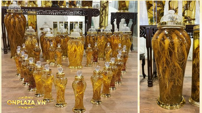 bộ sưu tập bình Nhân sâm Hàn Quốc của Onplaza 4