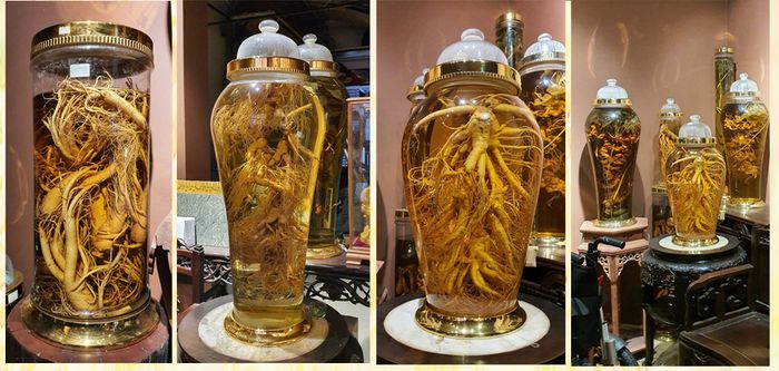 bộ sưu tập bình Nhân sâm Hàn Quốc của Onplaza 5