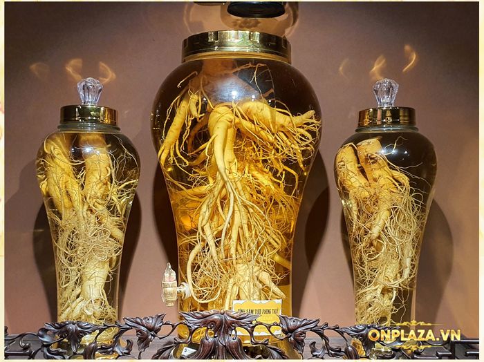 bộ sưu tập bình Nhân sâm Hàn Quốc của Onplaza 6