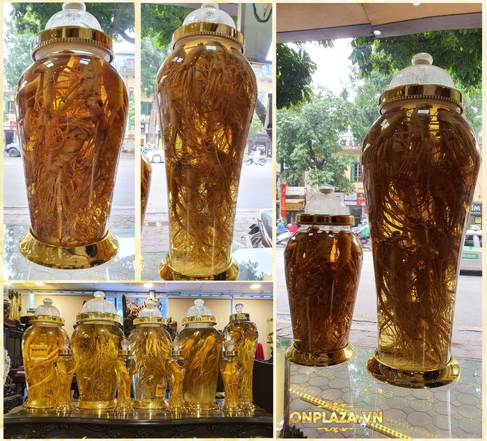 bộ sưu tập bình Nhân sâm Hàn Quốc của Onplaza 7