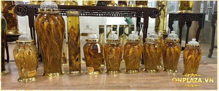 bộ sưu tập bình Nhân sâm Hàn Quốc của Onplaza 8