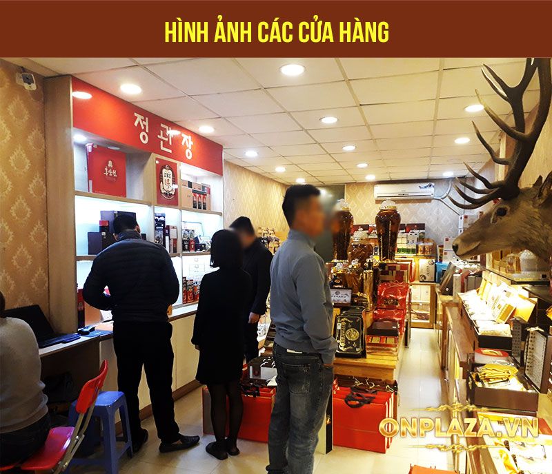 rà nhân sâm linh chi cao cấp nhập khẩu Hàn Quốc NS087 3